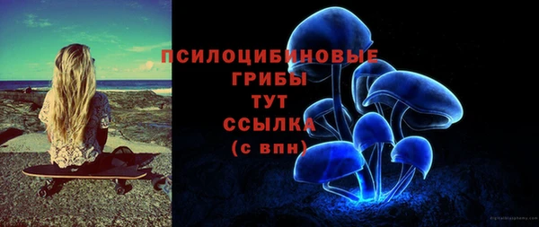 крисы Богданович
