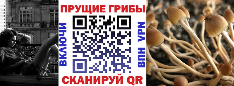 MEGA зеркало  Уварово  Псилоцибиновые грибы мицелий  сколько стоит 